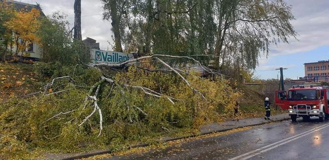 Potężna nawałnica przeszła przez Bydgoszcz i region! [ZDJĘCIA]