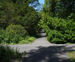 Ogród Botaniczny w Poznaniu 