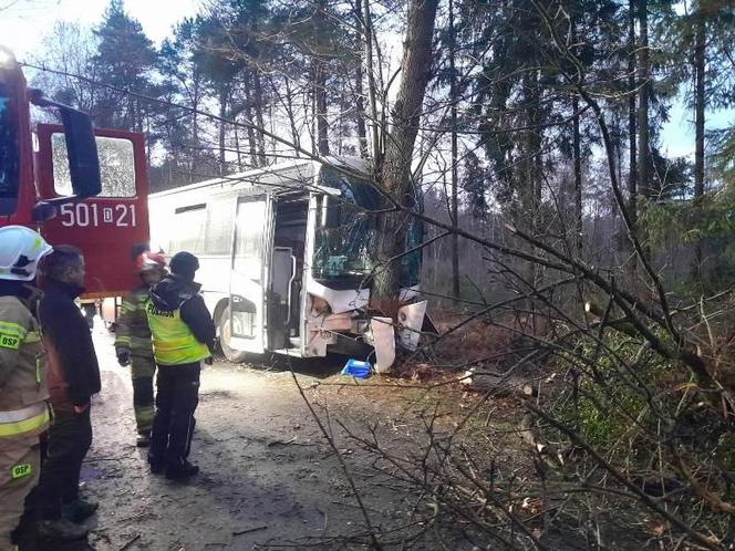 Szkolny autobus uderzył w drzewo