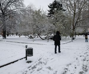 Stolica pod śniegiem 