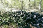 Setki podrzuconych opon w brzeskim lesie. Miał je przywieźć samochód dostawczy lub bus