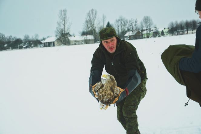 Leśnicy z Tomaszowa uratowali dwa bieliki! Ptaki są pod ścisłą ochroną