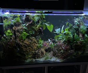 Rozmawiamy z Tomaszem Wiśniewskim, założycielem Aqua Dreams Bydgoszcz