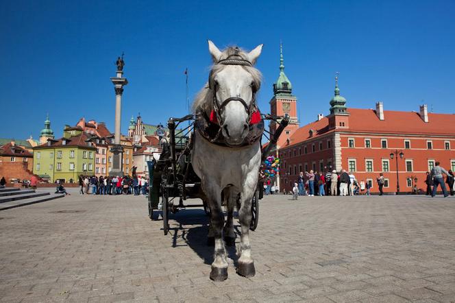 Dorożki na Starym Mieście