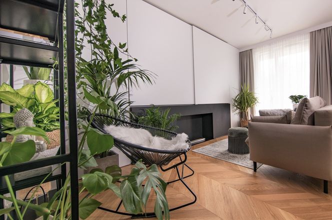 Przytulne mieszkanie na warszawskiej Woli