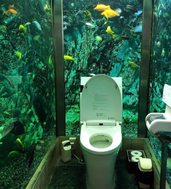 Toaleta w akwarium