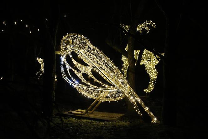 „Historia światła” po raz ostatni. Park iluminacji w Lublinie kończy sezon