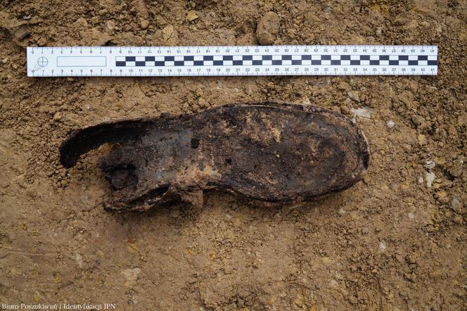 Odkryto szczątki ludzkie w wąwozie na Górkach Czechowskich