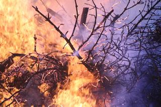 Zgroza na Dolnym Śląsku! Potężny pożar lasów. Ogień się rozprzestrzenia!