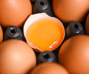 Kolor żółtka ma znaczenie. Zdradzamy, które jest najzdrowsze 