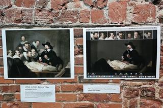 We Wrocławiu powstało Muzeum Memów. Hity Internetu w jednym miejscu