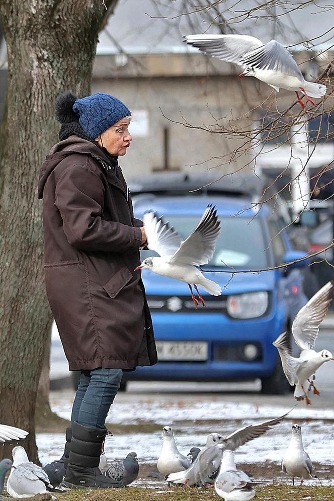 Anna Chodakowska. Gwiazda "Labiryntu" wśród ptaków