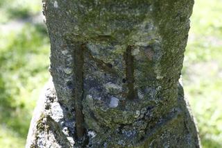 W Parku Skaryszewskim będzie jaśniej i bezpieczniej! Drogowcy wymienią wszystkie latarnie