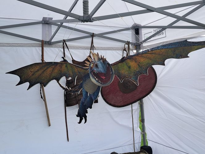 Smoczy Piknik Rodzinny 2025 w Krakowie
