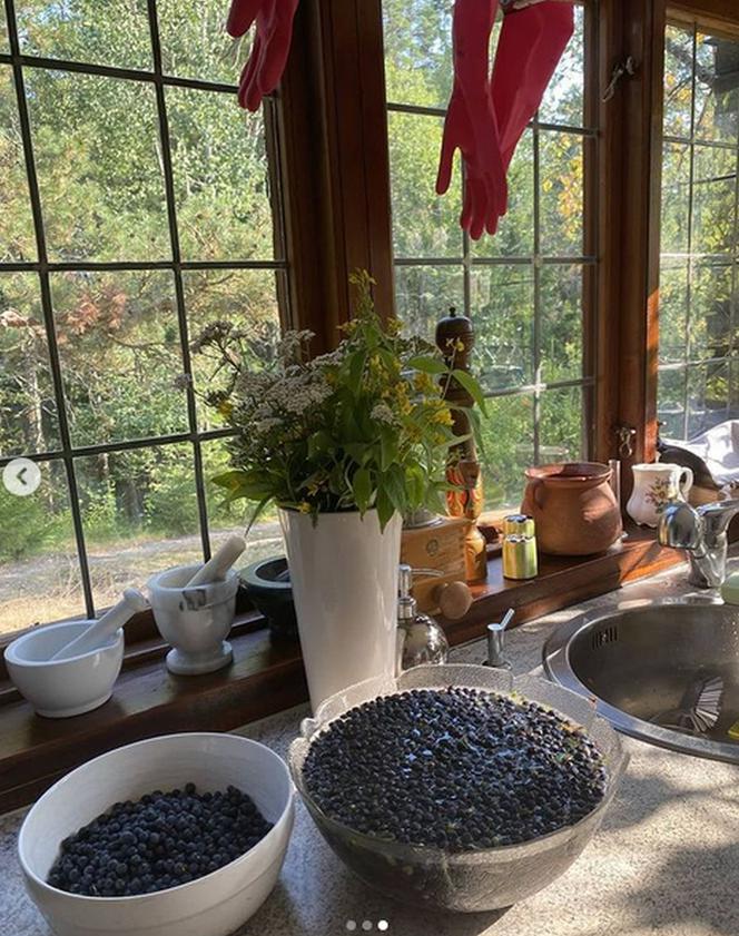 Małgorzata Pieczyńska na Instagramie pokazała dom w Szwecji