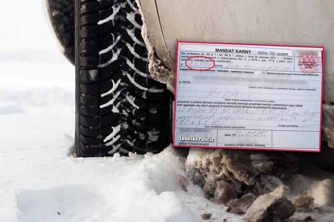 Urządził sobie kulig na terenie szkoły. Zapłaci 2500 zł mandatu