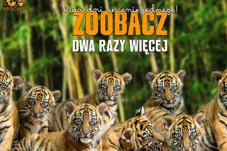 Kup bilet do ZOO Wrocław raz, wejdź dwa razy