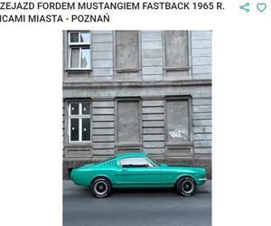 Przejazd Mustangiem, rocznik 1965 przez Poznań
