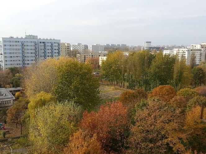 Chcesz iść na randkę inną niż wszystkie? Zobacz nietypowe miejsca na spotkanie we dwoje [PROPOZYCJE]