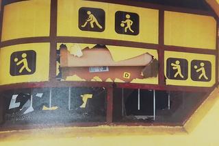 Młodociani chuligani szaleli po Tarnowie. Z nudów zrobili demolkę