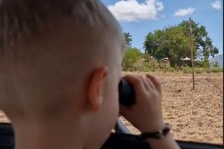 Marcin Mroczek oko w oko z lwem