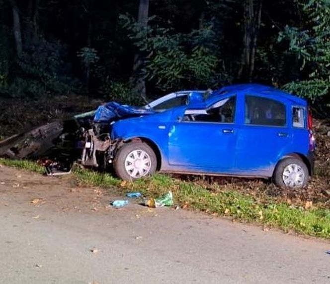 Wypadek w Podebłociu. Auto zderzyło się z łosiem