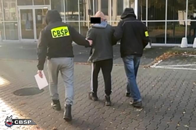 Mnóstwo nielegalnej broni w lesie. Warta jest kilkadziesiąt tysięcy! [ZDJĘCIA]