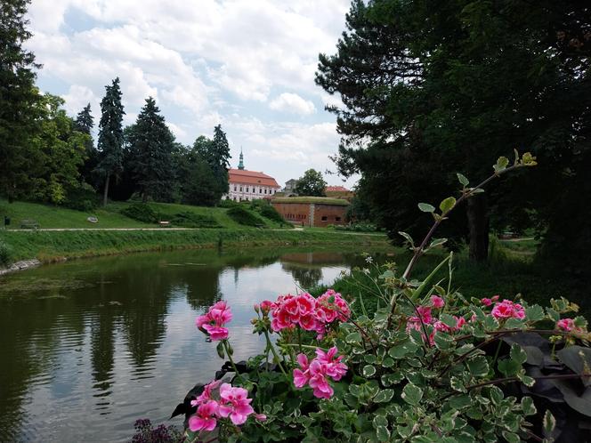 Letni spacer w parku miejskim w Zamościu