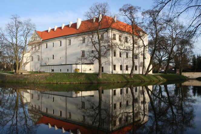Zamek w Szydłowcu