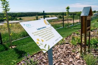 Pod Poznaniem powstał plac zabaw na wysypisku śmieci