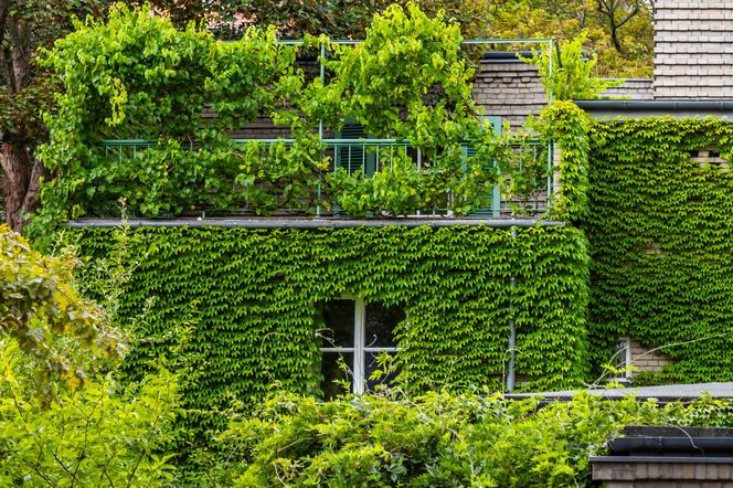 Willa Romualda Gutta na Kolonii Profesorskiej w Warszawie