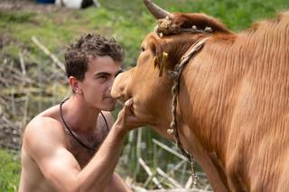 Farma 4: nowa edycja nie powstanie? Produkcja nie ma powodów do radości