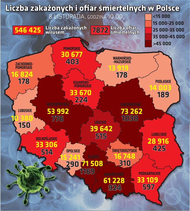 Koronawirus 8.11: podział na województwa 