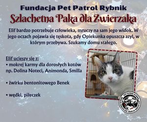 Pet Patrol Rybnik organizuje akcję Szlachetna Paka dla Zwierzaka 