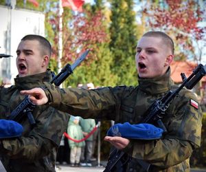 Rusza „wGotowości” – bezpłatne szkolenia obronne dla każdego Polaka. Jak się zapisać i co zyskasz?