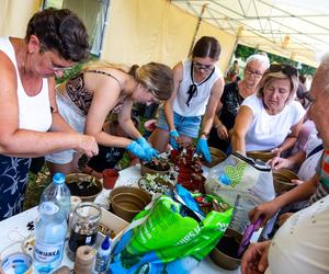 Wielki piknik kwietny – finał 40. edycji konkursu „Warszawa w kwiatach”