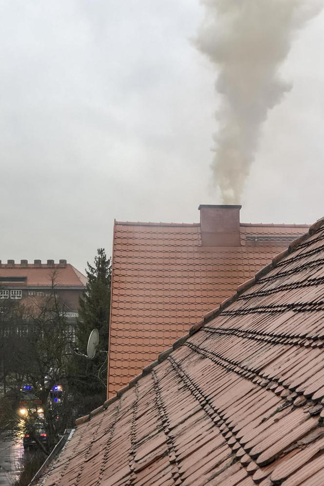Pożar na wrocławskim Sępolnie we Wrocławiu 