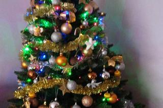 Wyjątkowe choinki słuchaczy VOX FM