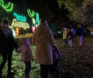 Garden of Lights we Wrocławiu