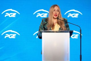 Prezes URE: Renata Mroczek nową szefową urzędu