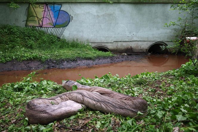 Pożar w Siemianowicach Śląskich był zlecony przez Rosję?