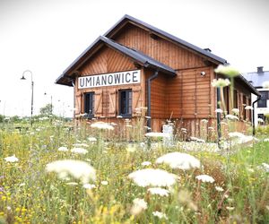 Ponidzie. Konik polski