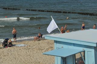 Kolory flag nad morzem. To warto wiedzieć, zanim pojedziesz nad Morze Bałtyckie! 