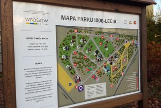 Skocznia, dendrofon i inne. Nowości w Parku 1000-lecia 