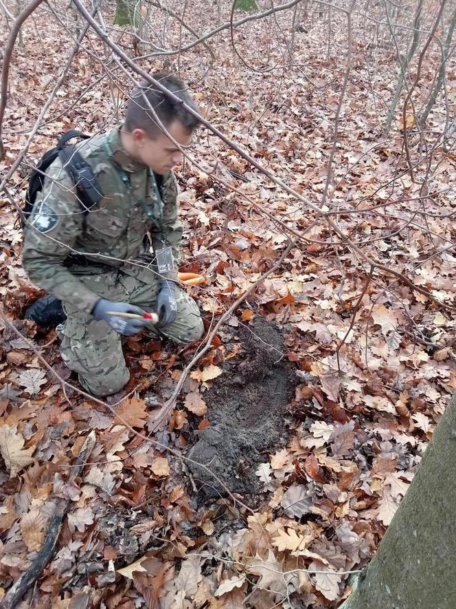 Orzełek i bagnet kolejne skarby w starachowickich lasach