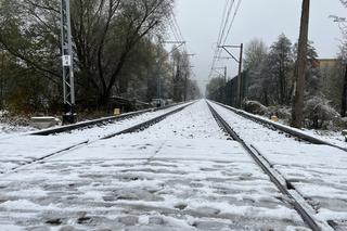 Pierwszy śnieg w Poznaniu w 2023 roku! Zobaczcie, jak wygląda Poznań w niedzielę 19 listopada