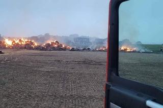 Pożary na polach pod Krotoszynem. Rolnicy wyznaczyli nagrodę
