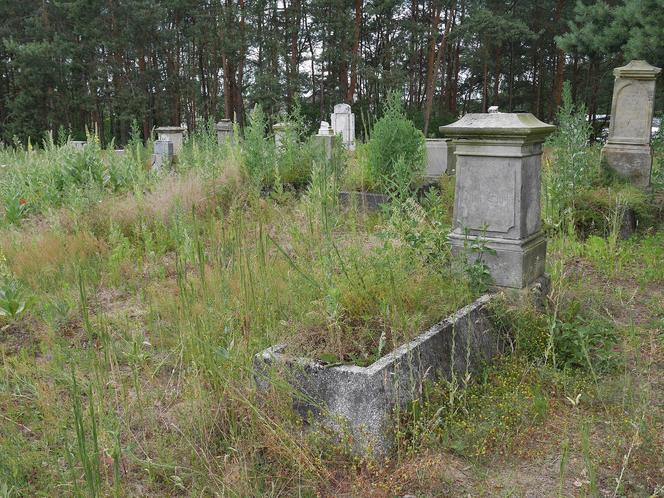 Cmentarz mennonicki w Sosnówce