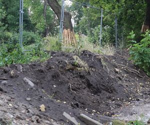 Rewitalizacja parku Bronowickiego w lublinie - postęp prac na koniec lipca 2025