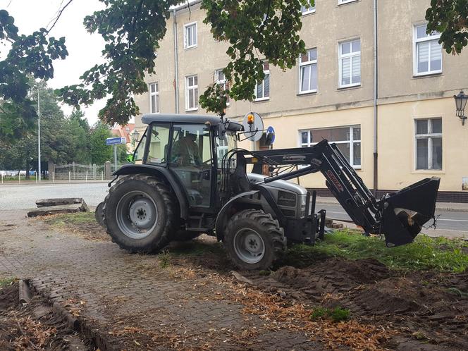 Bukszpany zrobiły miejsce na nowy pomnik w Lesznie. Poświęcony będzie żołnierzom generała Józefa Hallera